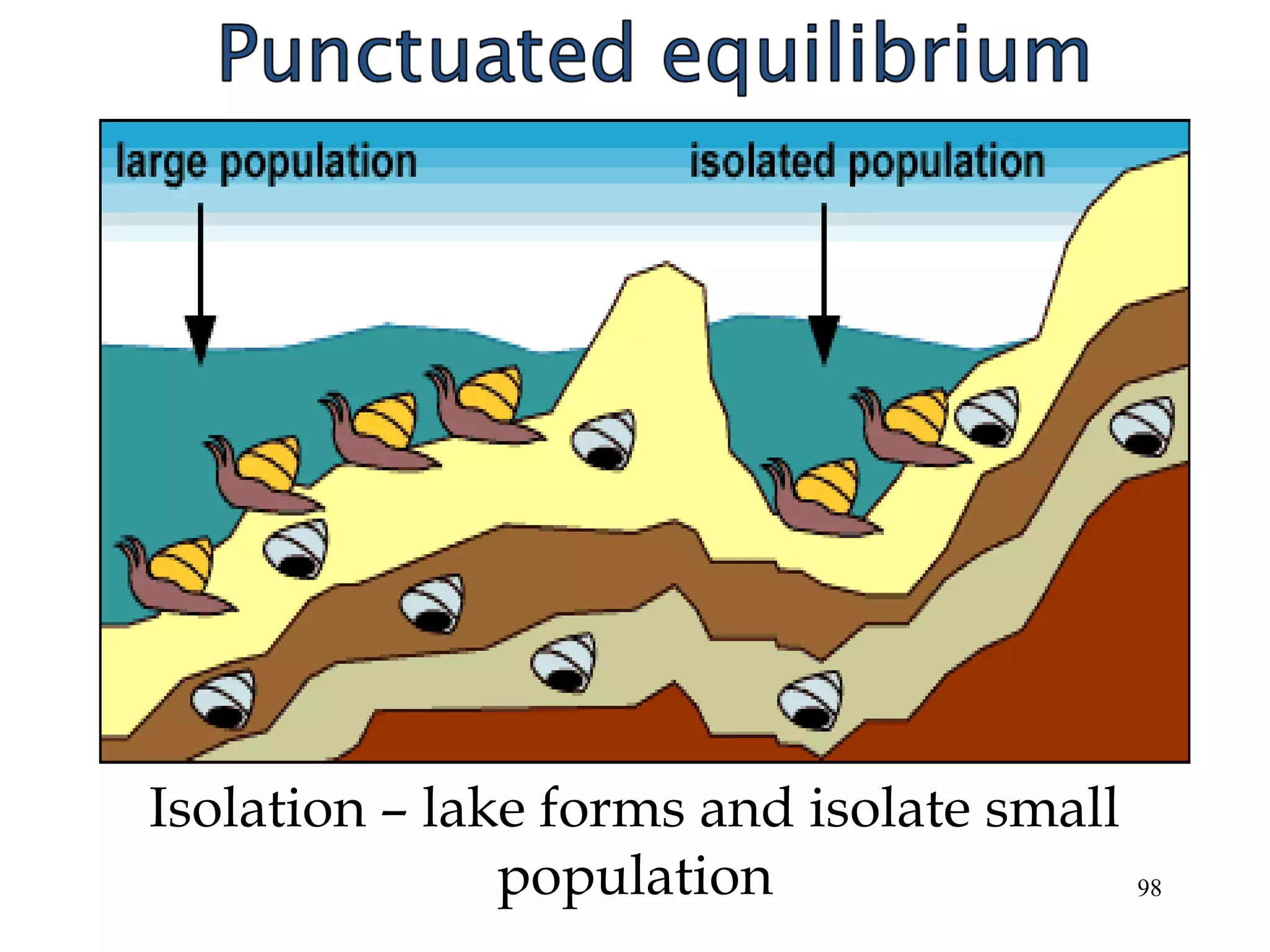 Isolation – lake forms and isolate small
population 98
 