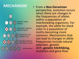 MECHANISM • From a Neo-Darwinian
perspective, evolution occurs
when there are changes in
the frequencies of alleles
within a population of
interbreeding organisms. For
example, the allele for black
color in a population of
moths becoming more
common. Mechanisms that
can lead to changes in allele
frequencies include natural
selection, genetic
drift, genetic hitchhiking,
mutation and gene flow.
 