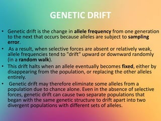 GENETIC DRIFT
• Genetic drift is the change in allele frequency from one generation
to the next that occurs because alleles are subject to sampling
error.
• As a result, when selective forces are absent or relatively weak,
allele frequencies tend to "drift" upward or downward randomly
(in a random walk).
• This drift halts when an allele eventually becomes fixed, either by
disappearing from the population, or replacing the other alleles
entirely.
• Genetic drift may therefore eliminate some alleles from a
population due to chance alone. Even in the absence of selective
forces, genetic drift can cause two separate populations that
began with the same genetic structure to drift apart into two
divergent populations with different sets of alleles.
 