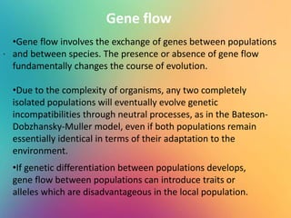 .
Gene flow
•Gene flow involves the exchange of genes between populations
and between species. The presence or absence of gene flow
fundamentally changes the course of evolution.
•Due to the complexity of organisms, any two completely
isolated populations will eventually evolve genetic
incompatibilities through neutral processes, as in the Bateson-
Dobzhansky-Muller model, even if both populations remain
essentially identical in terms of their adaptation to the
environment.
•If genetic differentiation between populations develops,
gene flow between populations can introduce traits or
alleles which are disadvantageous in the local population.
 