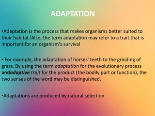 •Adaptation is the process that makes organisms better suited to
their habitat.[Also, the term adaptation may refer to a trait that is
important for an organism's survival
• For example, the adaptation of horses' teeth to the grinding of
grass. By using the term adaptation for the evolutionary process
andadaptive trait for the product (the bodily part or function), the
two senses of the word may be distinguished.
•Adaptations are produced by natural selection
ADAPTATION
 