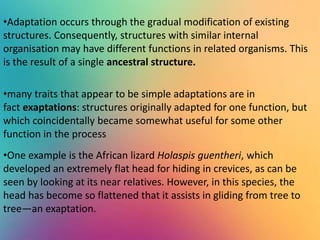 •Adaptation occurs through the gradual modification of existing
structures. Consequently, structures with similar internal
organisation may have different functions in related organisms. This
is the result of a single ancestral structure.
•many traits that appear to be simple adaptations are in
fact exaptations: structures originally adapted for one function, but
which coincidentally became somewhat useful for some other
function in the process
•One example is the African lizard Holaspis guentheri, which
developed an extremely flat head for hiding in crevices, as can be
seen by looking at its near relatives. However, in this species, the
head has become so flattened that it assists in gliding from tree to
tree—an exaptation.
 