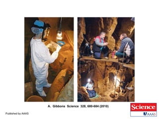 Published by AAAS A.  Gibbons  Science  328, 680-684 (2010)  