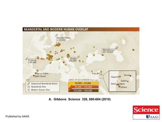 Published by AAAS A.  Gibbons  Science  328, 680-684 (2010)  