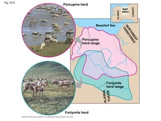 Fig. 23-5 Porcupine herd Porcupine herd range Beaufort Sea NORTHWEST TERRITORIES MAP AREA ALASKA CANADA Fortymile herd range Fortymile herd ALASKA YUKON 