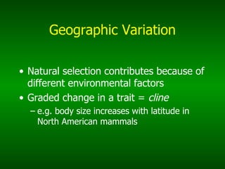 Geographic Variation Natural selection contributes because of different environmental factors Graded change in a trait =  cline e.g. body size increases with latitude in North American mammals 