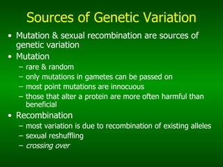 Sources of Genetic Variation Mutation & sexual recombination are sources of genetic variation Mutation rare & random only mutations in gametes can be passed on most point mutations are innocuous those that alter a protein are more often harmful than beneficial Recombination most variation is due to recombination of existing alleles sexual reshuffling crossing over 