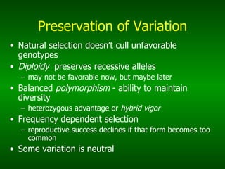 Preservation of Variation Natural selection doesn’t cull unfavorable genotypes Diploidy   preserves recessive alleles may not be favorable now, but maybe later Balanced  polymorphism  - ability to maintain diversity heterozygous advantage or  hybrid vigor Frequency dependent selection  reproductive success declines if that form becomes too common Some variation is neutral 