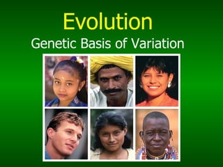 Evolution Genetic Basis of Variation 