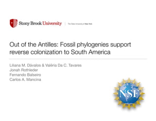 Out of the Antilles: Fossil phylogenies support
reverse colonization to South America
Liliana M. Dávalos & Valéria Da C. Tavares

Jonah Rothleder

Fernando Balseiro

Carlos A. Mancina
 