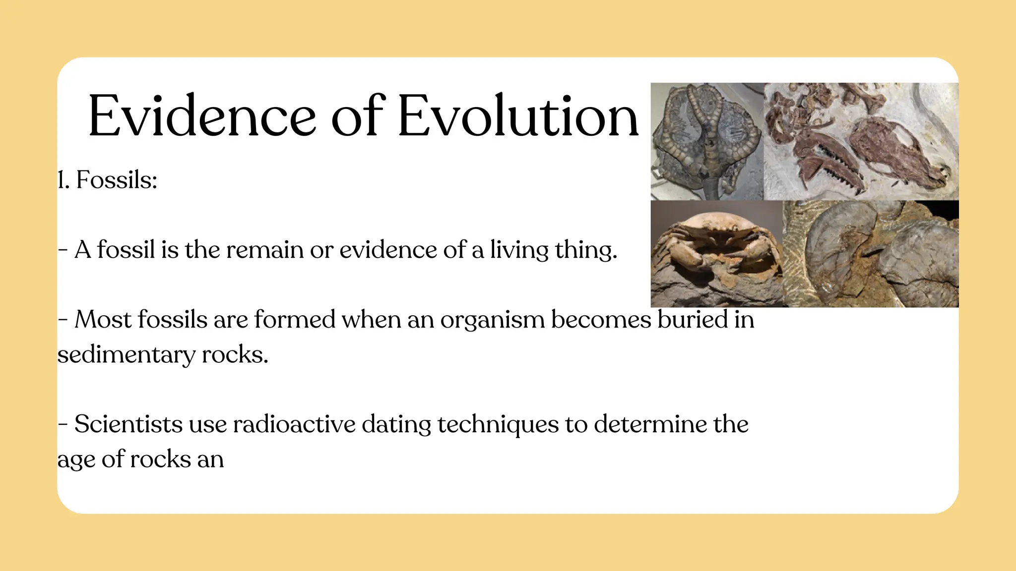 Evidence of Evolution
1. Fossils:
- A fossil is the remain or evidence of a living thing.
- Most fossils are formed when an organism becomes buried in
sedimentary rocks.
- Scientists use radioactive dating techniques to determine the
age of rocks an
 