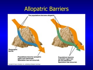 Allopatric Barriers 