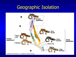 Geographic Isolation 