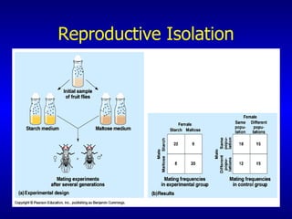 Reproductive Isolation 