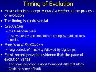 Timing of Evolution Most scientists accept  natural selection  as the process of evolution The timing is controversial Gradualism   the traditional view a slow, steady accumulation of changes, leads to new species Punctuated Equilibrium long periods of inactivity followed by big jumps Fossil record provides evidence that the pace of evolution varies The same evidence is used to support different ideas Could be some of both 