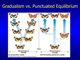 Gradualism vs. Punctuated Equilibrium 