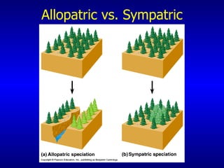 Allopatric vs. Sympatric 