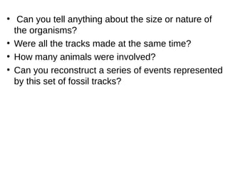 ●
Can you tell anything about the size or nature of
the organisms?
●
Were all the tracks made at the same time?
●
How many animals were involved?
●
Can you reconstruct a series of events represented
by this set of fossil tracks?
 