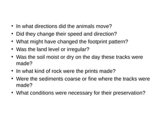 ●
In what directions did the animals move?
●
Did they change their speed and direction?
●
What might have changed the footprint pattern?
●
Was the land level or irregular?
●
Was the soil moist or dry on the day these tracks were
made?
●
In what kind of rock were the prints made?
●
Were the sediments coarse or fine where the tracks were
made?
●
What conditions were necessary for their preservation?
 