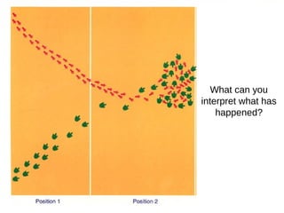 What can you
interpret what has
happened?
 