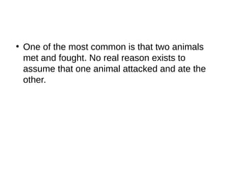 ●
One of the most common is that two animals
met and fought. No real reason exists to
assume that one animal attacked and ate the
other.
 