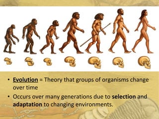 • Evolution = Theory that groups of organisms change
over time
• Occurs over many generations due to selection and
adaptation to changing environments.
 