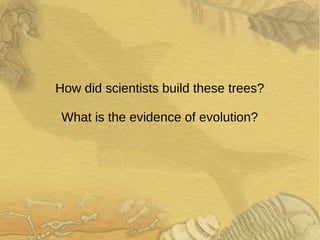 How did scientists build these trees?
What is the evidence of evolution?
 