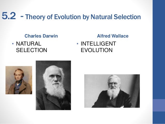 How Does Competition And Variation Result In Natural Selection How Does Competition And Variation Result In Natural Selection