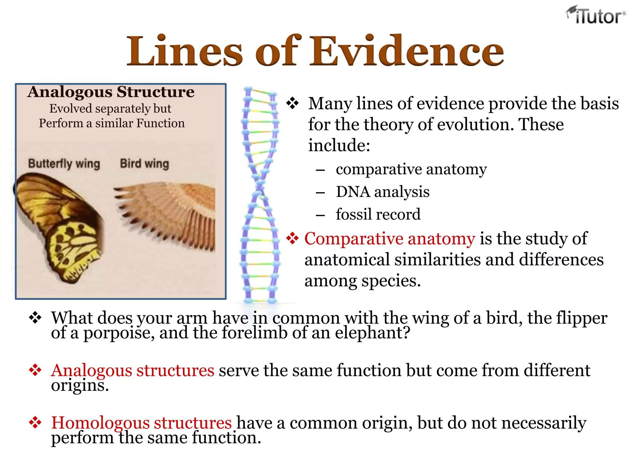 Lines of Evidence
Analogous Structure
Evolved separately but
Perform a similar Function
 Many lines of evidence provide the basis
for the theory of evolution. These
include:
– comparative anatomy
– DNA analysis
– fossil record
 Comparative anatomy is the study of
anatomical similarities and differences
among species.
 What does your arm have in common with the wing of a bird, the flipper
of a porpoise, and the forelimb of an elephant?
 Analogous structures serve the same function but come from different
origins.
 Homologous structures have a common origin, but do not necessarily
perform the same function.
 