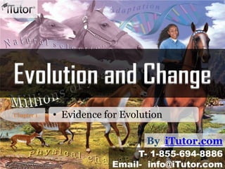 Evolution and Change
By iTutor.com
T- 1-855-694-8886
Email- info@iTutor.com
Chapter 1 • Evidence for Evolution
 