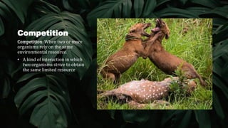 Competition Coevolution Evolution and Coevolution - Sky Lawa-an | PPTX