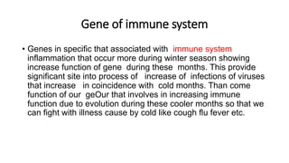 Gene of immune system
• Genes in specific that associated with immune system
inflammation that occur more during winter season showing
increase function of gene during these months. This provide
significant site into process of increase of infections of viruses
that increase in coincidence with cold months. Than come
function of our geOur that involves in increasing immune
function due to evolution during these cooler months so that we
can fight with illness cause by cold like cough flu fever etc.
 