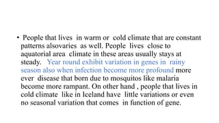 • People that lives in warm or cold climate that are constant
patterns alsovaries as well. People lives close to
aquatorial area climate in these areas usually stays at
steady. Year round exhibit variation in genes in rainy
season also when infection become more profound more
ever disease that born due to mosquitos like malaria
become more rampant. On other hand , people that lives in
cold climate like in Iceland have little variations or even
no seasonal variation that comes in function of gene.
 