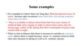 Some examples
• For example,in winters there are long days Siberian hamsters have its
testes increase upto seventeen times than their size during summers
when days are short.
• There is available evidence about birds that lives near source of
artificial light starts singing in order to attract their mates also for
laying eggs, earlier in the spring than their counterparts in places that
remain dark at night.
• There is also evidences that there is increase in suicides as seasonal
peaks shows there is rapid increase occur in summer morever birth
rates also increase in spring as well as in summer seasons
 