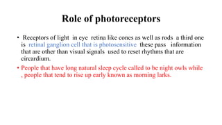 Role of photoreceptors
• Receptors of light in eye retina like cones as well as rods a third one
is retinal ganglion cell that is photosensitive these pass information
that are other than visual signals used to reset rhythms that are
circardium.
• People that have long natural sleep cycle called to be night owls while
, people that tend to rise up early known as morning larks.
 
