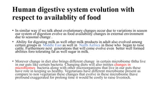Human digestive system evolution with
respect to availablity of food
• In similar way if we talk about evolutionary changes occur due to variations in season
our system of digestion evolve as food availability changes in external environment
due to seasonal change .
• Ability for digesting milk as well other milk products in adult also evolved among
certain groups in Middle East as well in North Aafrica in those who began to raise
cattle. Furthermore next generations that will come evolve even better well formed
abilities foro tolerating fat as well sugar in milk.
• Morever change in diet also brings different change in certain microbiome ththa live
in our guts like certain bacteria Changing diets will also initites changes in
microbiomes bacteria along with other microorganisms that live in our guts these
have role in keeping us healthy. Vegetarians have different microbiome present as
compare to non vegetarian these changes that evolve in these microbiome thave
profound exaggerated for prolong time it would be costly to raise livestock.
 