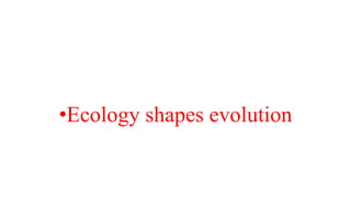•Ecology shapes evolution
 