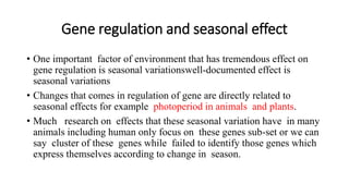 Gene regulation and seasonal effect
• One important factor of environment that has tremendous effect on
gene regulation is seasonal variationswell-documented effect is
seasonal variations
• Changes that comes in regulation of gene are directly related to
seasonal effects for example photoperiod in animals and plants.
• Much research on effects that these seasonal variation have in many
animals including human only focus on these genes sub-set or we can
say cluster of these genes while failed to identify those genes which
express themselves according to change in season.
 