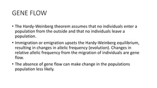 GENE FLOW
• The Hardy-Weinberg theorem assumes that no individuals enter a
population from the outside and that no individuals leave a
population.
• Immigration or emigration upsets the Hardy-Weinberg equilibrium,
resulting in changes in allelic frequency (evolution). Changes in
relative allelic frequency from the migration of individuals are gene
flow.
• The absence of gene flow can make change in the populations
population less likely.
 