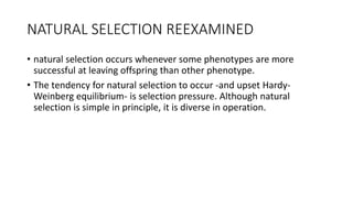 NATURAL SELECTION REEXAMINED
• natural selection occurs whenever some phenotypes are more
successful at leaving offspring than other phenotype.
• The tendency for natural selection to occur -and upset Hardy-
Weinberg equilibrium- is selection pressure. Although natural
selection is simple in principle, it is diverse in operation.
 