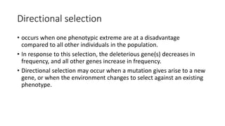 Directional selection
• occurs when one phenotypic extreme are at a disadvantage
compared to all other individuals in the population.
• In response to this selection, the deleterious gene(s) decreases in
frequency, and all other genes increase in frequency.
• Directional selection may occur when a mutation gives arise to a new
gene, or when the environment changes to select against an existing
phenotype.
 