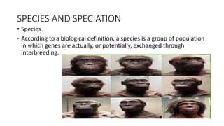 SPECIES AND SPECIATION
• Species
- According to a biological definition, a species is a group of population
in which genes are actually, or potentially, exchanged through
interbreeding.
 