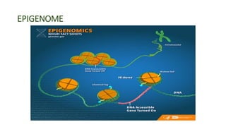 EPIGENOME
 
