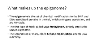 What makes up the epigenome?
• The epigenome is the set of chemical modifications to the DNA and
DNA-associated proteins in the cell, which alter gene expression, and
are heritable.
• The first type of mark, called DNA methylation, directly affects the
DNA in a genome.
• The second kind of mark, called histone modification, affects DNA
indirectly.
 