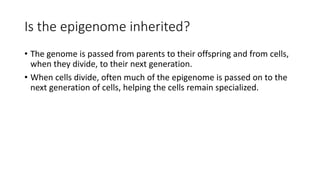 Is the epigenome inherited?
• The genome is passed from parents to their offspring and from cells,
when they divide, to their next generation.
• When cells divide, often much of the epigenome is passed on to the
next generation of cells, helping the cells remain specialized.
 