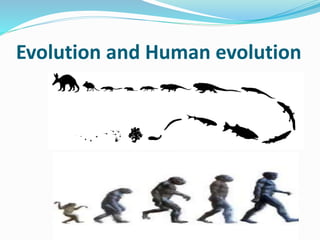 Evolution and Human evolution
 