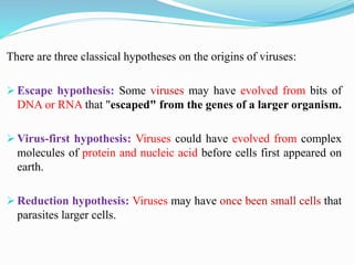 There are three classical hypotheses on the origins of viruses:
 Escape hypothesis: Some viruses may have evolved from bits of
DNA or RNA that "escaped" from the genes of a larger organism.
 Virus-first hypothesis: Viruses could have evolved from complex
molecules of protein and nucleic acid before cells first appeared on
earth.
 Reduction hypothesis: Viruses may have once been small cells that
parasites larger cells.
 