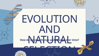 evolution and natural selection.ppt how human evolute with timex | PPTX