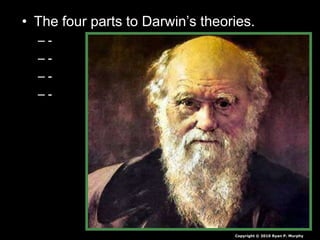 • The four parts to Darwin’s theories.
– -
– -
– -
– -
Copyright © 2010 Ryan P. Murphy
 