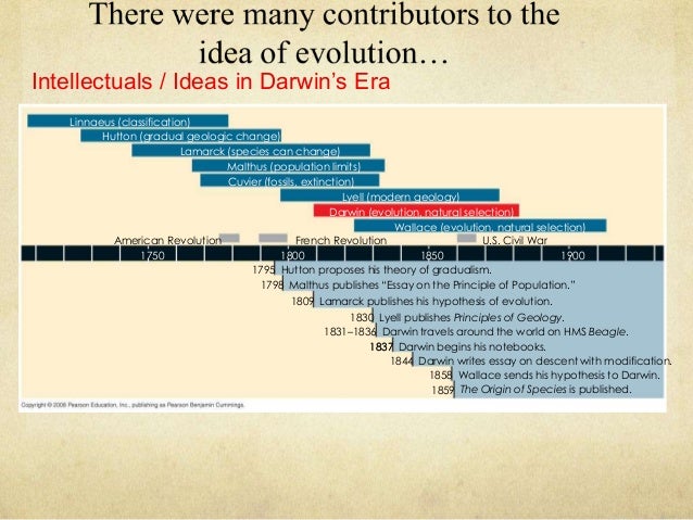 Essay on the origin of species